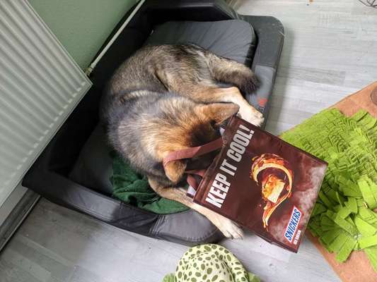 Freddys Kummerkasten-Beitrag-Bild