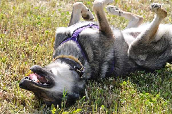 Challenge Nr. 10: "Das schönste Lächeln"-Beitrag-Bild