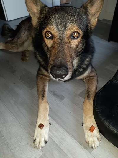 Fotochallange 84-Beitrag-Bild