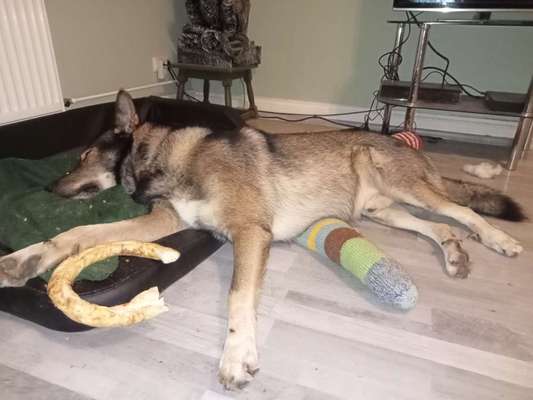 Freddys Kummerkasten-Beitrag-Bild