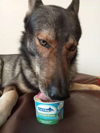 Freddys Kummerkasten-Beitrag-Bild