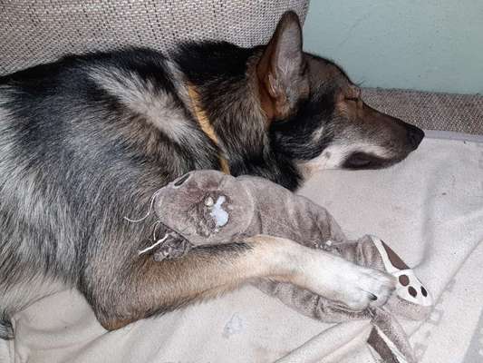 Verrückte Schlafpositionen-Beitrag-Bild