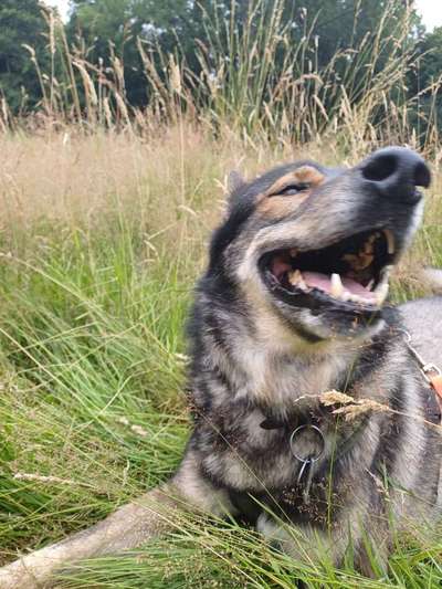 Freddys Kummerkasten-Beitrag-Bild