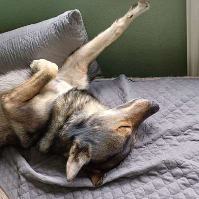 Freddys Kummerkasten-Beitrag-Bild