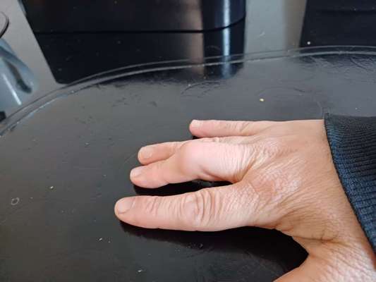 König der Qualzuchten - Cavalier King Charles Spaniel-Beitrag-Bild