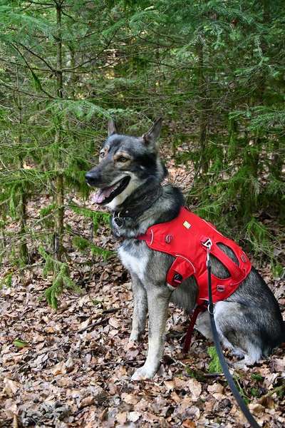 Satteltaschen und mehrtägige Wandertouren-Beitrag-Bild