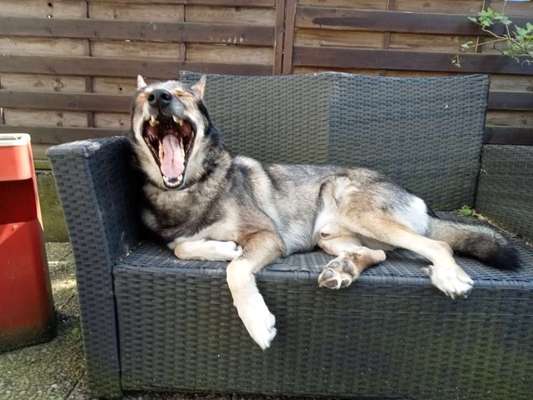 Freddys Kummerkasten-Beitrag-Bild