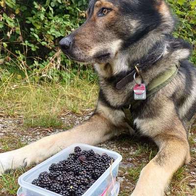 Freddys Kummerkasten-Beitrag-Bild