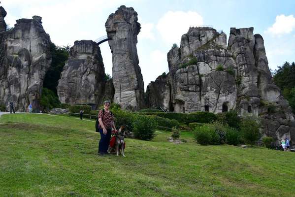 Wanderwege mit Hund-Beitrag-Bild