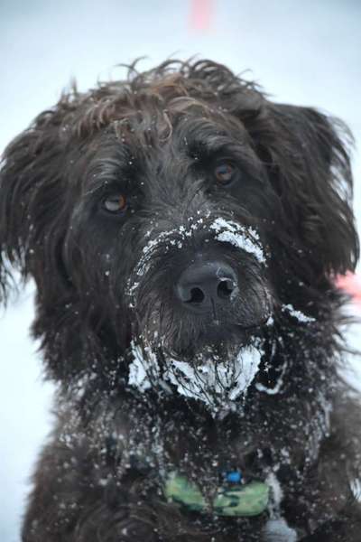 Freddys Kummerkasten-Beitrag-Bild