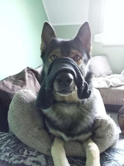 Fotochallenge 113: Auf frsicher Tat ertappt-Beitrag-Bild