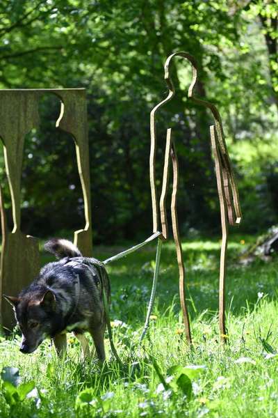 Freddys Kummerkasten-Beitrag-Bild