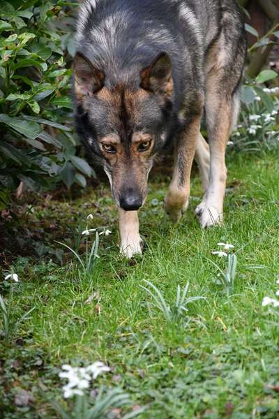 Austausch zur Fotografie-Beitrag-Bild