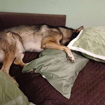 Freddys Kummerkasten-Beitrag-Bild