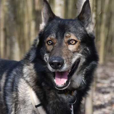 Freddys Kummerkasten-Beitrag-Bild