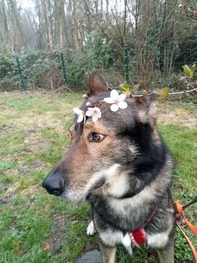 Freddys Kummerkasten-Beitrag-Bild