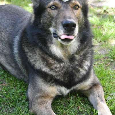 Freddys Kummerkasten-Beitrag-Bild