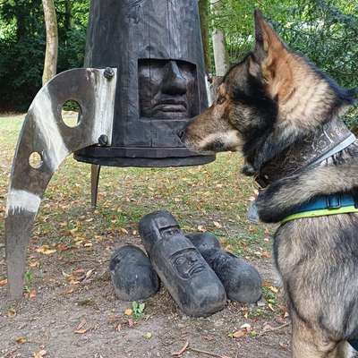 Freddys Kummerkasten-Beitrag-Bild