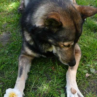 Freddys Kummerkasten-Beitrag-Bild