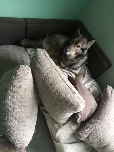 Freddys Kummerkasten-Beitrag-Bild