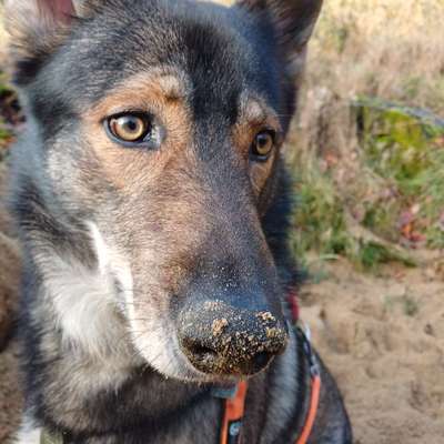 Freddys Kummerkasten-Beitrag-Bild