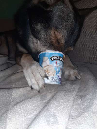 Foto Challange Nr.80-Beitrag-Bild