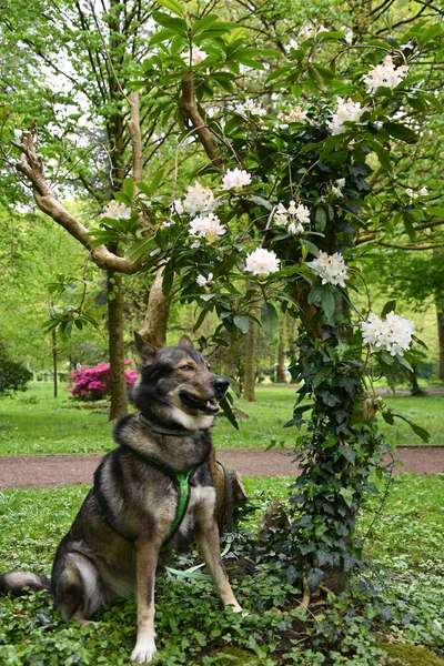 Freddys Kummerkasten-Beitrag-Bild