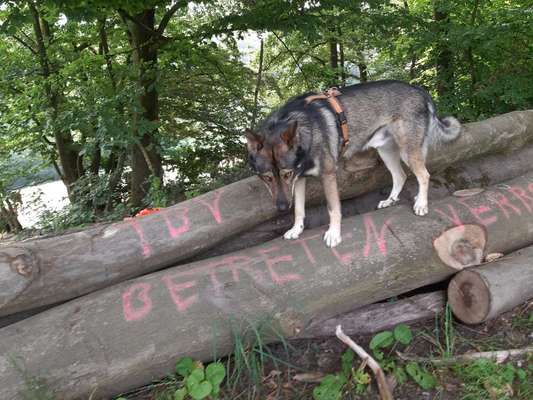 Theos Fotochallenge Nr. 3-Beitrag-Bild