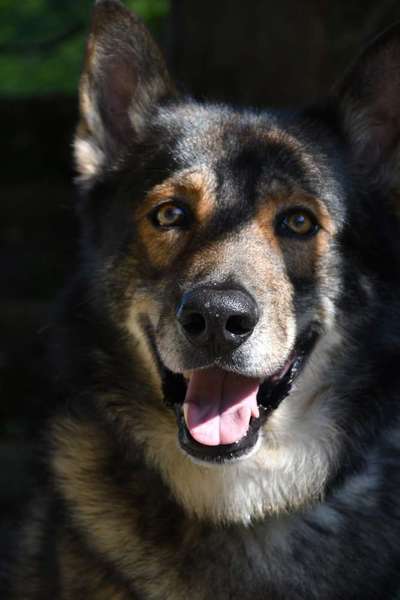 Freddys Kummerkasten-Beitrag-Bild