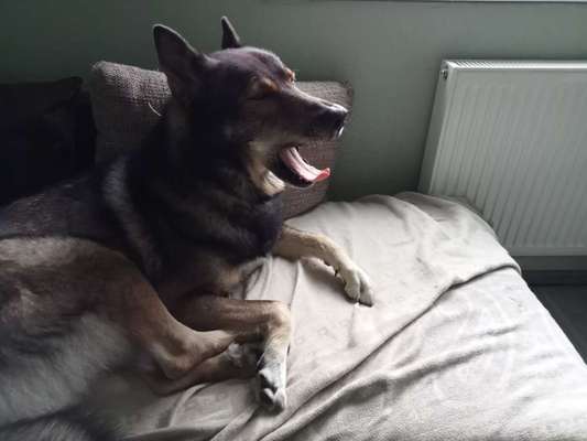 Freddys Kummerkasten-Beitrag-Bild