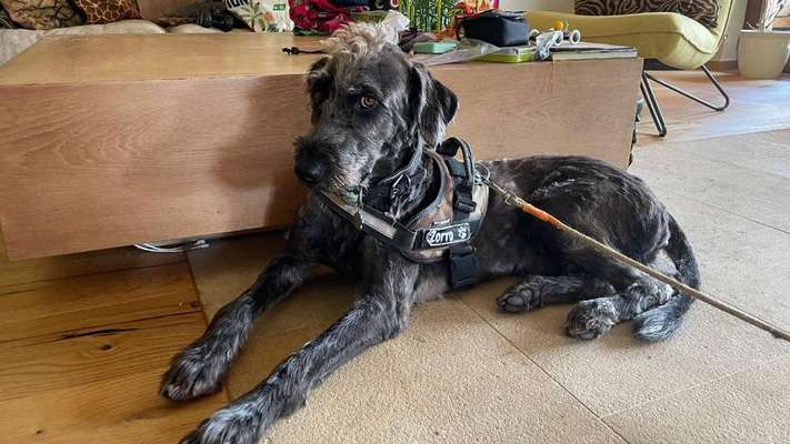 Freddys Kummerkasten-Beitrag-Bild