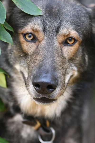 Zeigt eure Portraits-Beitrag-Bild