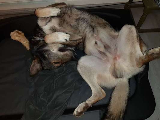 Verrückte Schlafpositionen-Beitrag-Bild