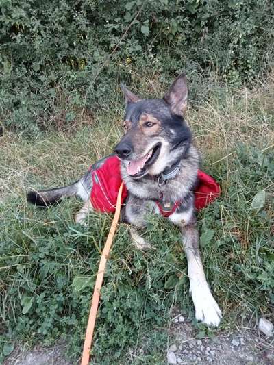 Fotochallenge 101:
On Tour-Beitrag-Bild