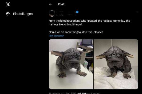 Das geht doch zu weit, oder?! 😱 HAIRLESS / HIPPO BULLYS-Beitrag-Bild