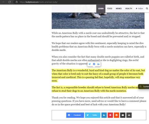 Brachycephale Hunderassen-Beitrag-Bild