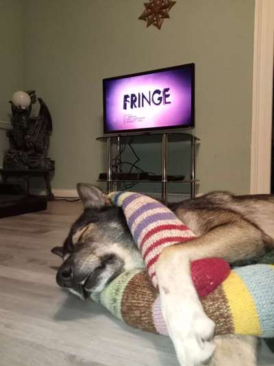 Freddys Kummerkasten-Beitrag-Bild