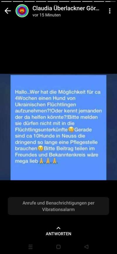 Hilfe & Spenden für die Ukraine-Beitrag-Bild