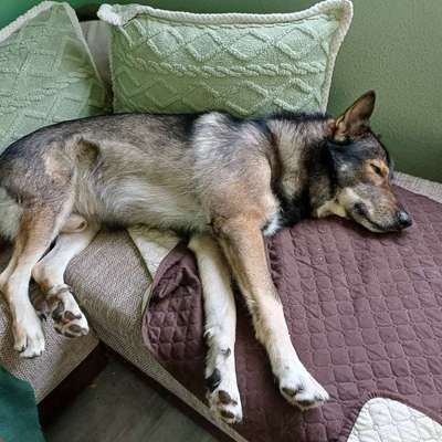 Freddys Kummerkasten-Beitrag-Bild