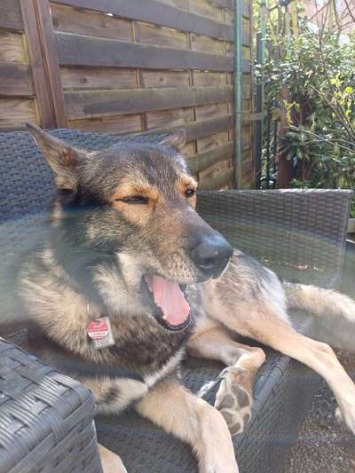 Freddys Kummerkasten-Beitrag-Bild