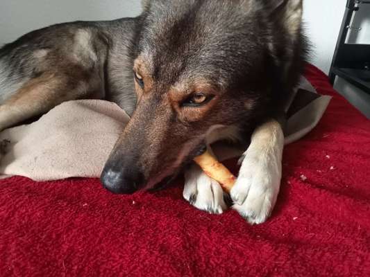 Freddys Kummerkasten-Beitrag-Bild