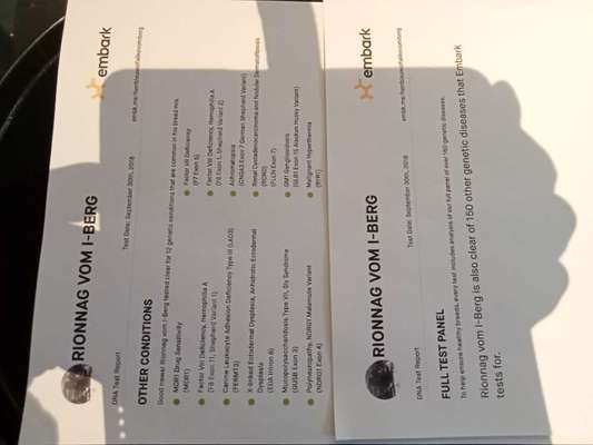 Vermehrung - Kasse statt klasse-Beitrag-Bild