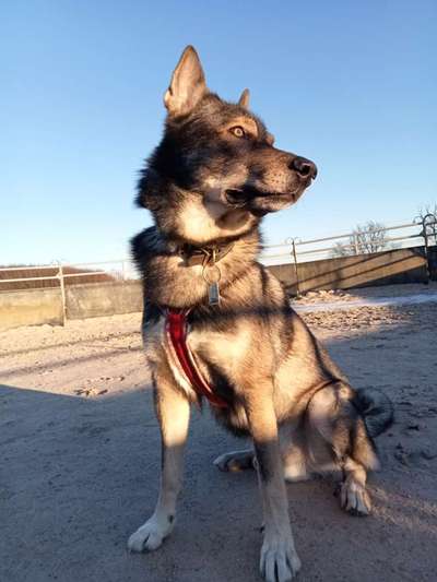 Freddys Kummerkasten-Beitrag-Bild