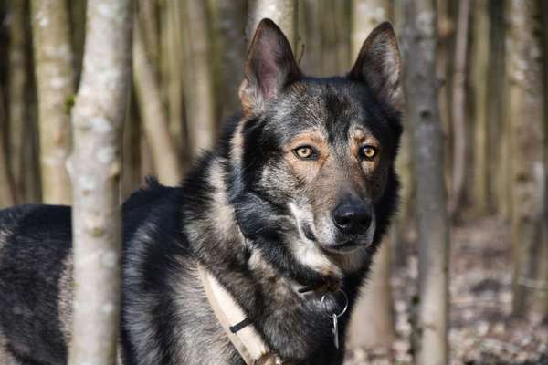 Freddys Kummerkasten-Beitrag-Bild