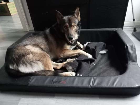 Freddys Kummerkasten-Beitrag-Bild