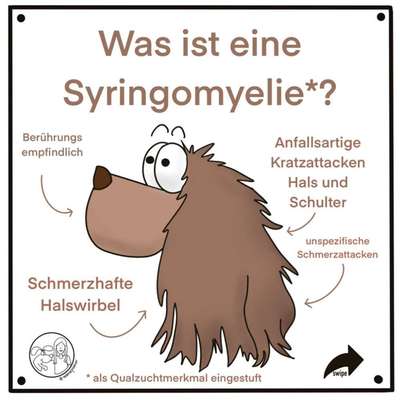 Qualzucht - Warum Aufklärung alleine nicht reicht-Beitrag-Bild