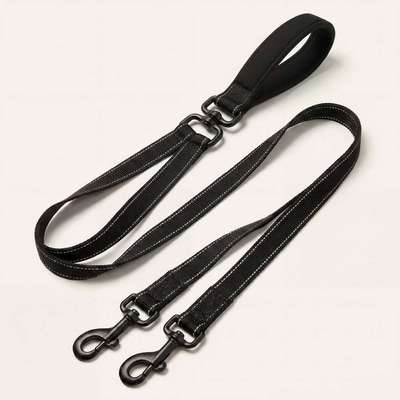 Antizieh Geschirr Amstaff-Beitrag-Bild