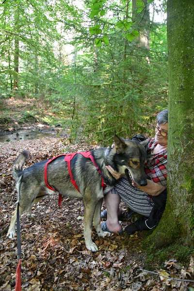 Ruffwear Frontrange Rucksack-Beitrag-Bild