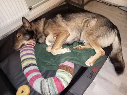 Freddys Kummerkasten-Beitrag-Bild