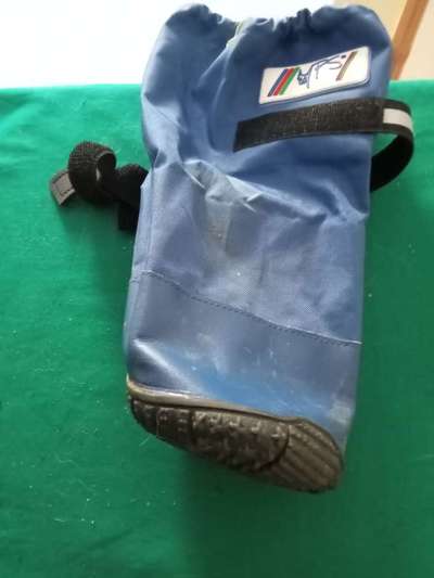 Pfotenverband- was hält und schutzt beim Gassi gehen?-Beitrag-Bild